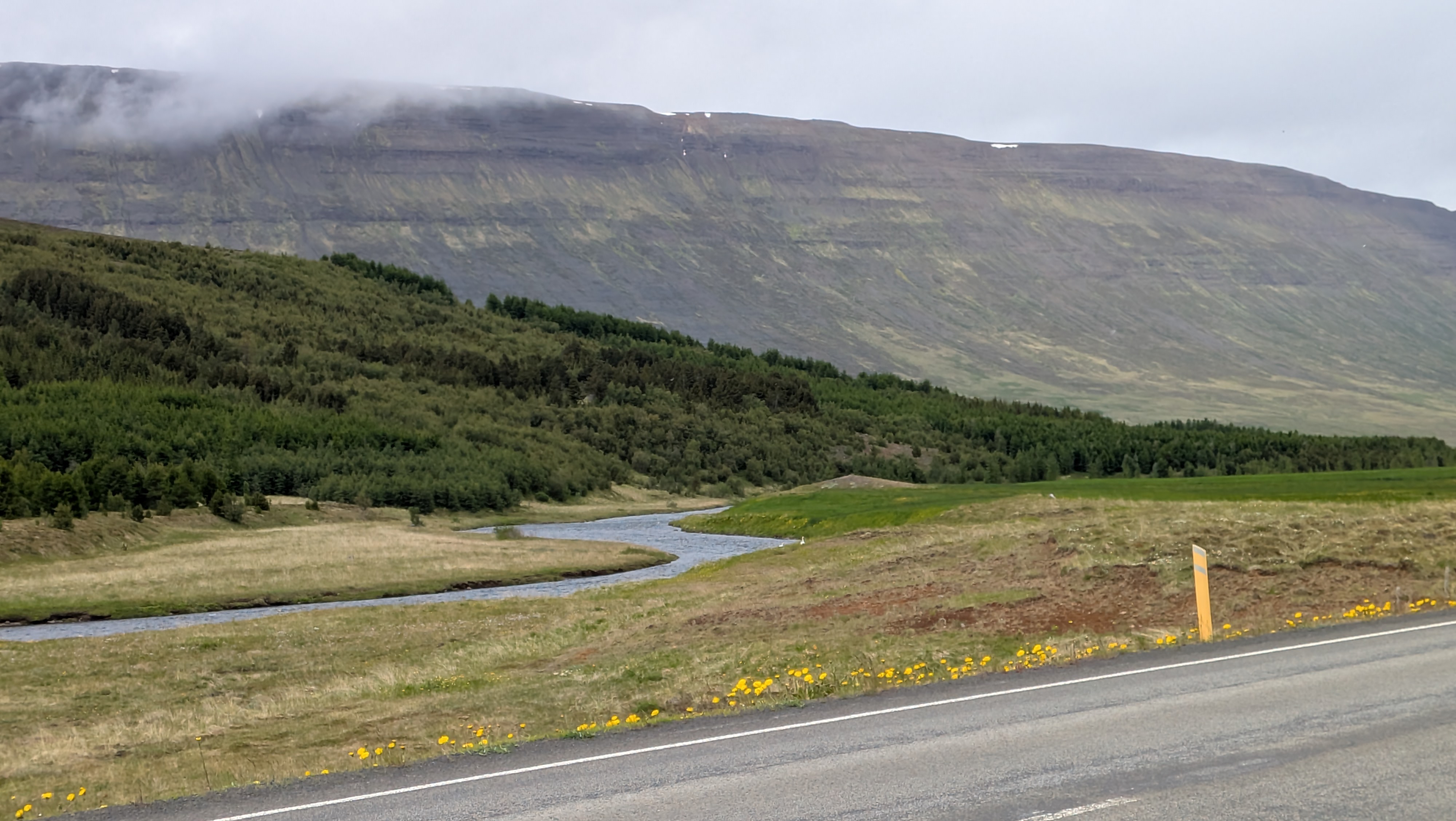 2026 06 20 14 11 18 Horgarsveit Island