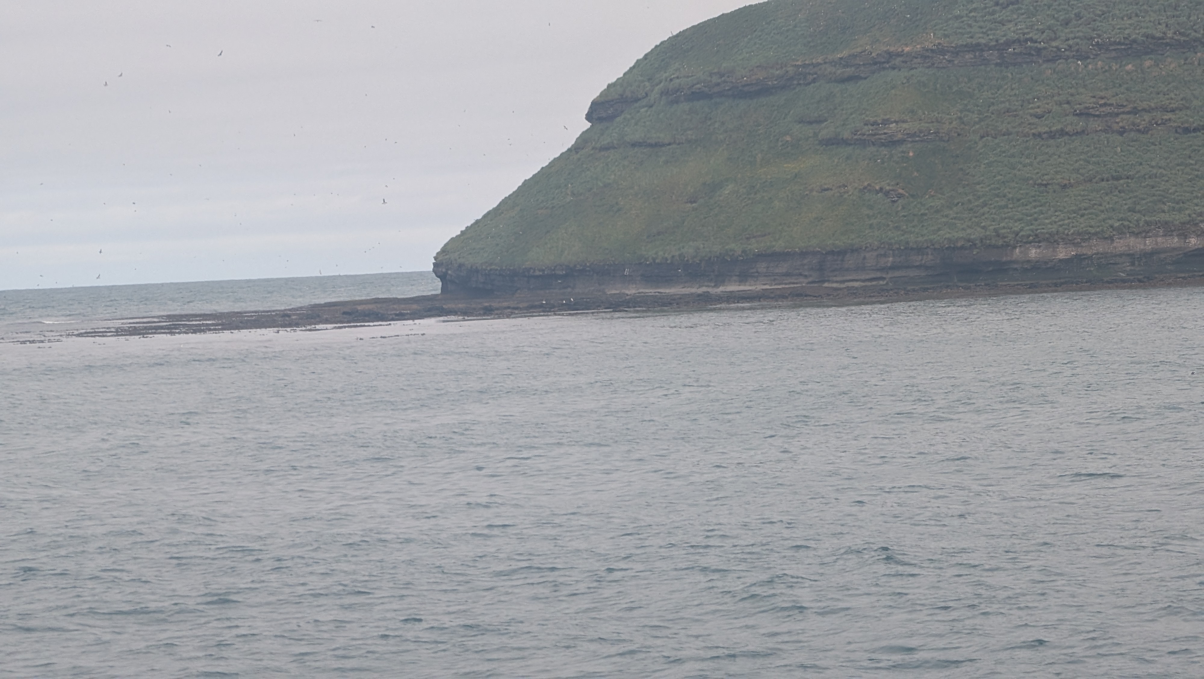 2026 06 21 09 57 54 Island