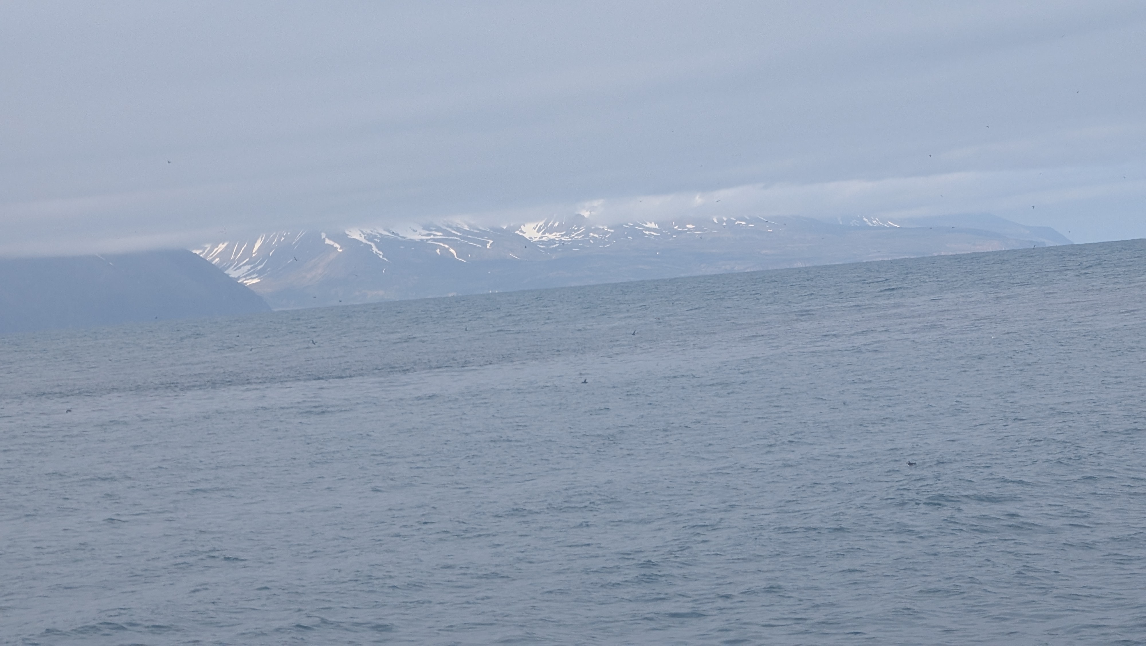 2026 06 21 09 58 30 Island