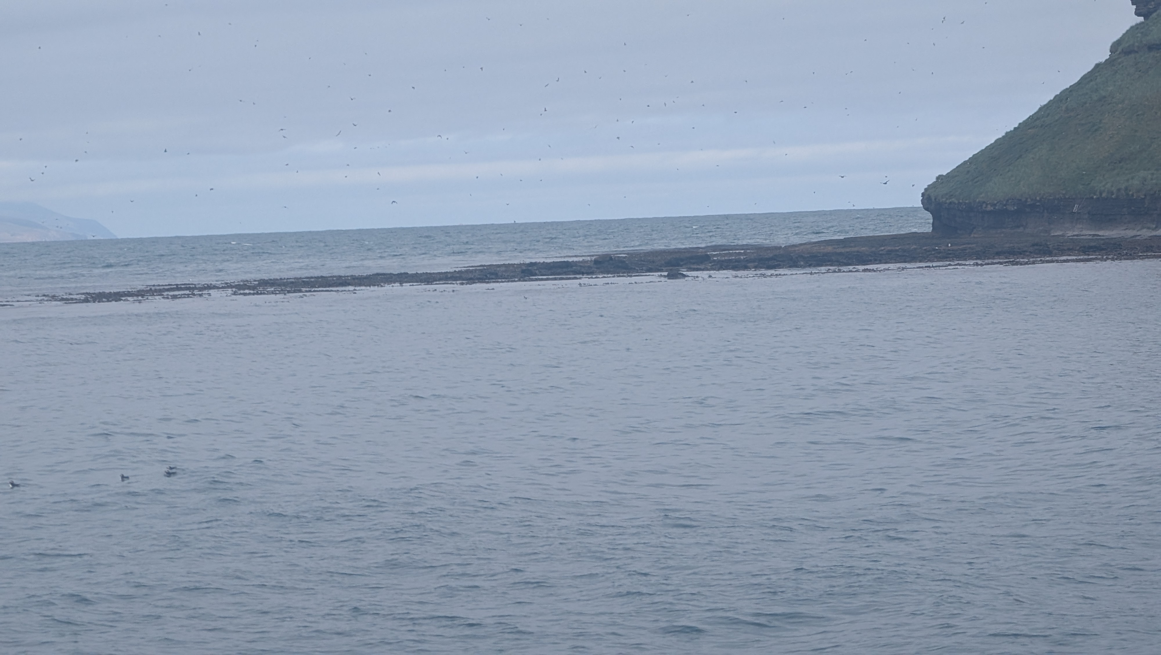 2026 06 21 09 59 00 Island