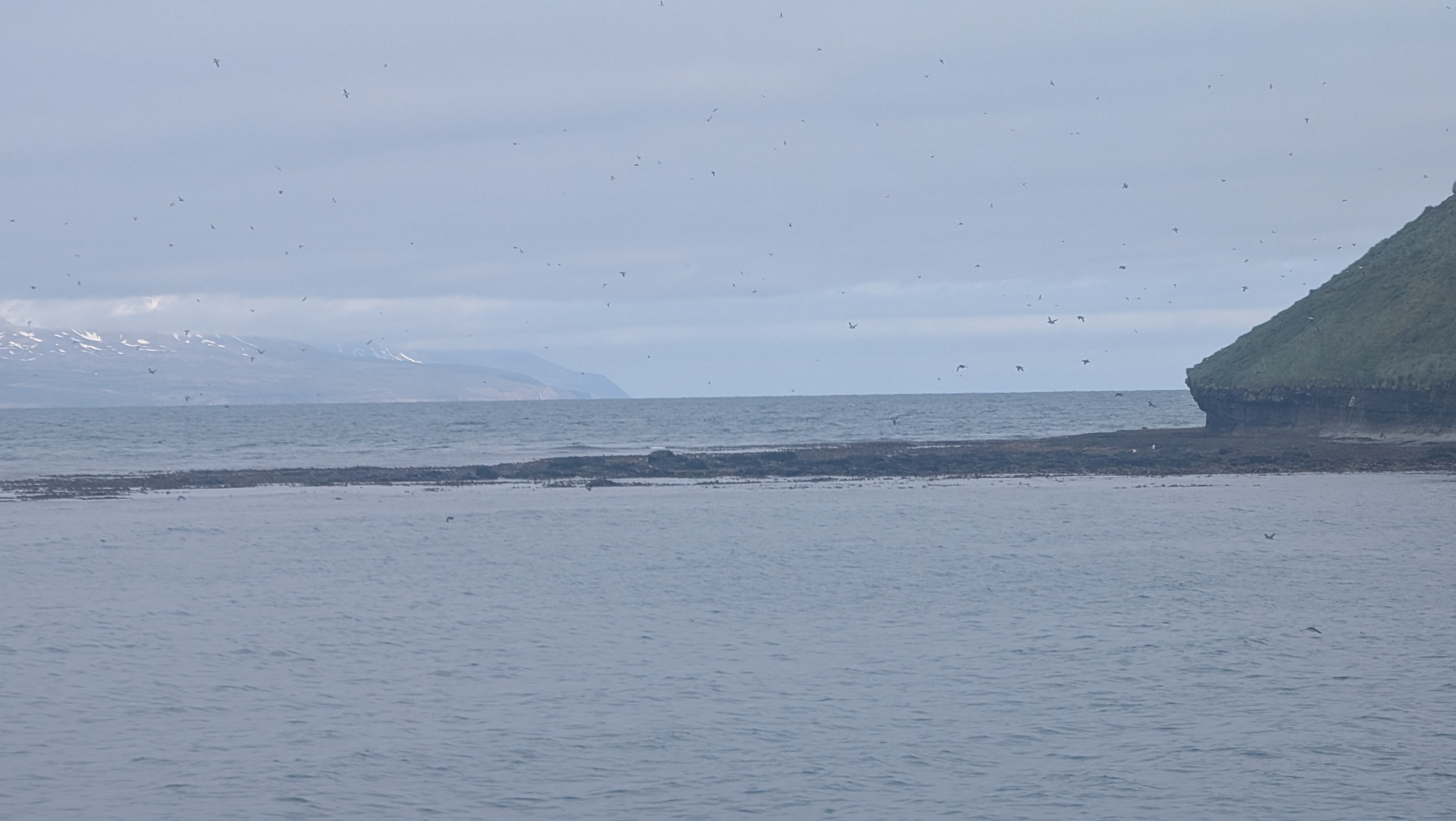 2026 06 21 09 59 29 Island