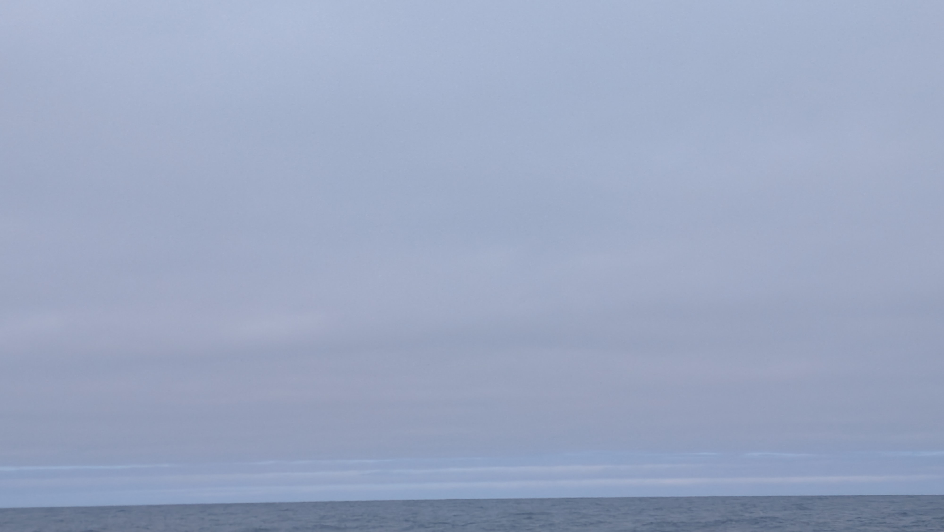 2026 06 21 10 31 42 Island