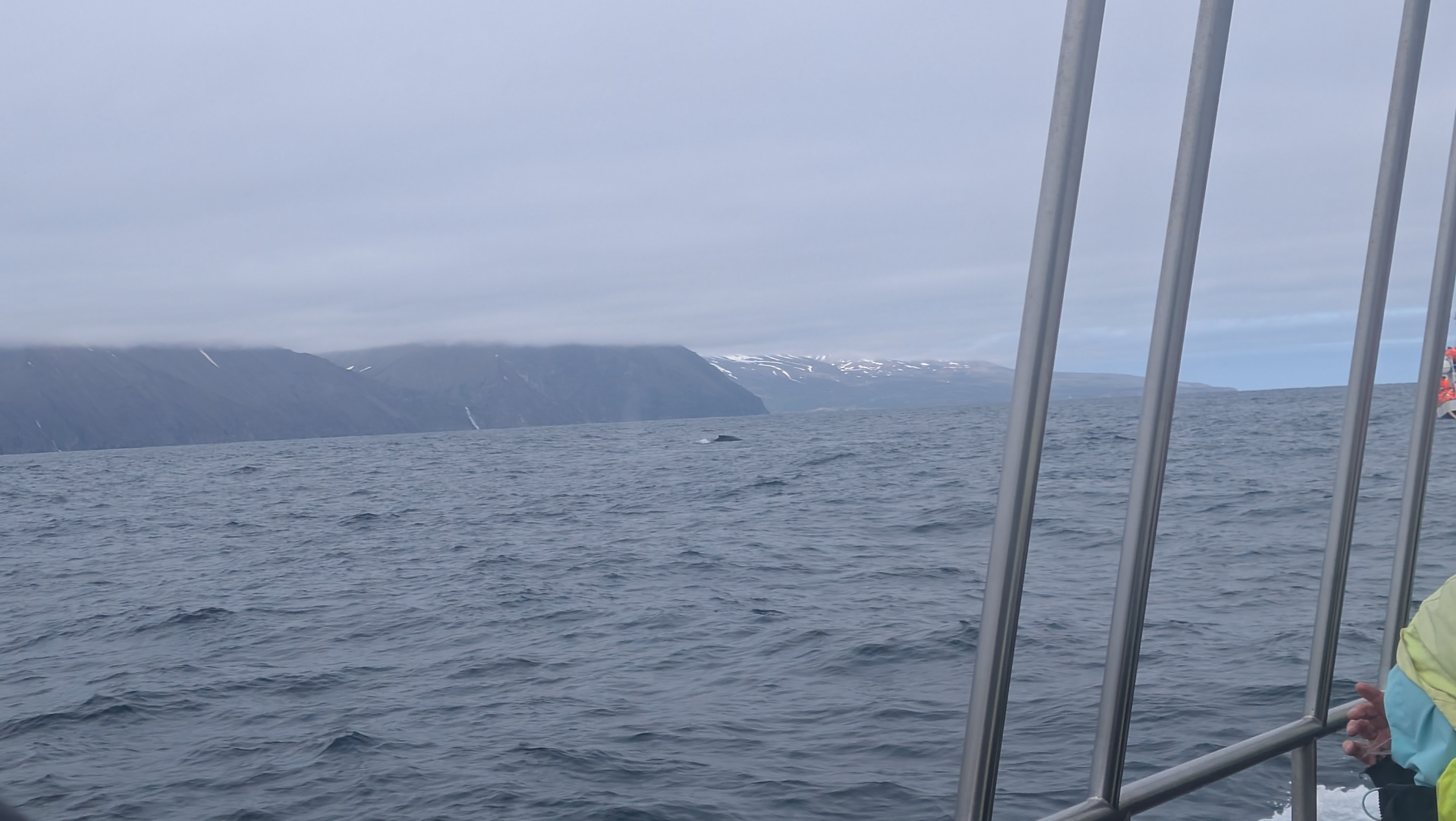 2026 06 21 11 00 34 Island