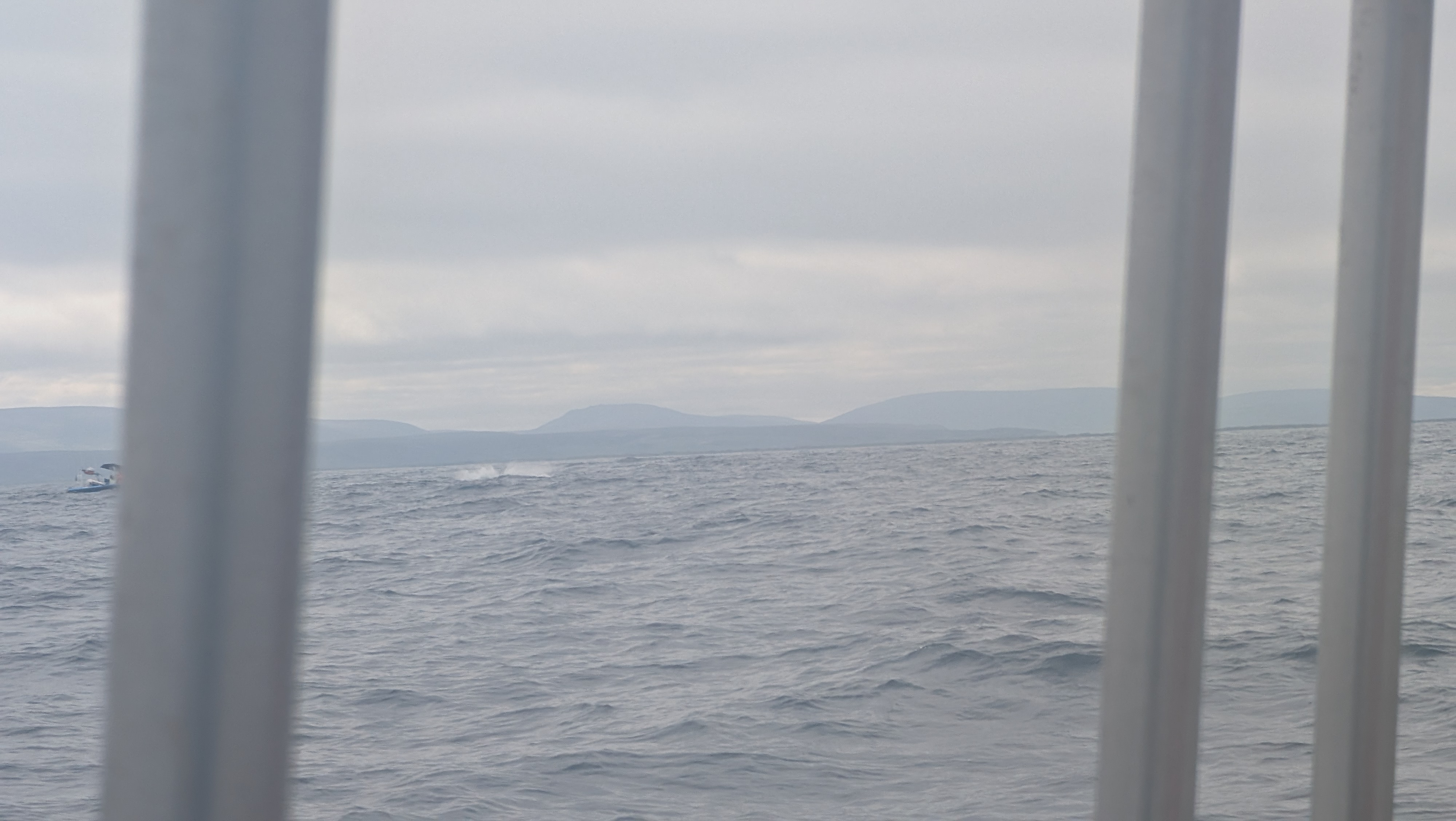 2026 06 21 11 07 52 Island