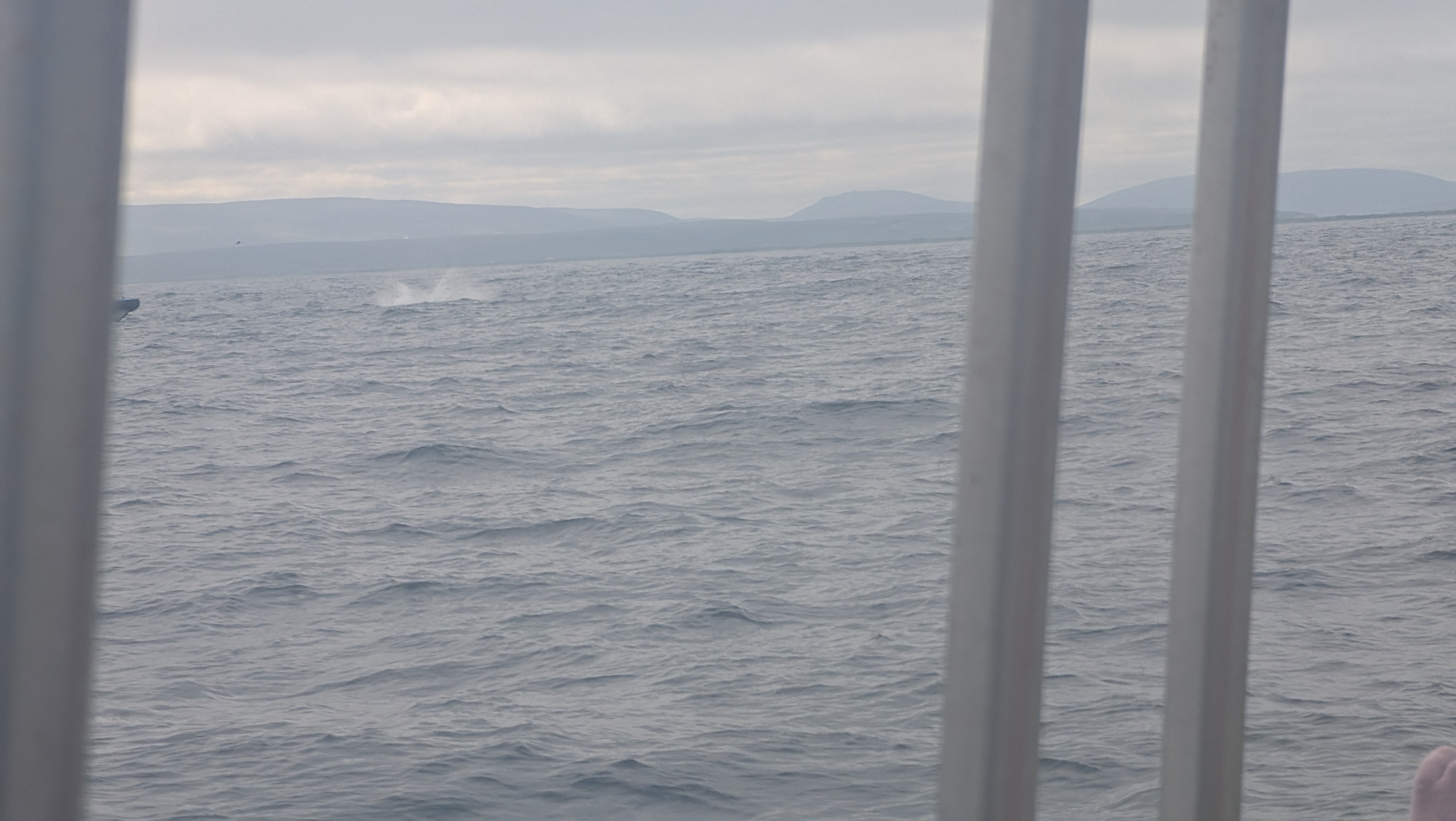 2026 06 21 11 08 08 Island 002