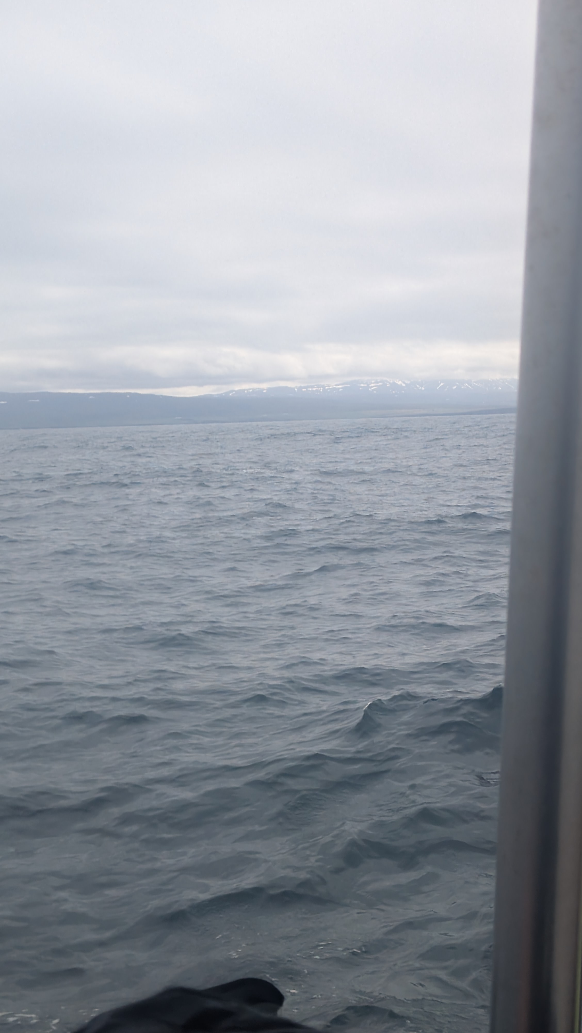 2026 06 21 11 09 51 Island