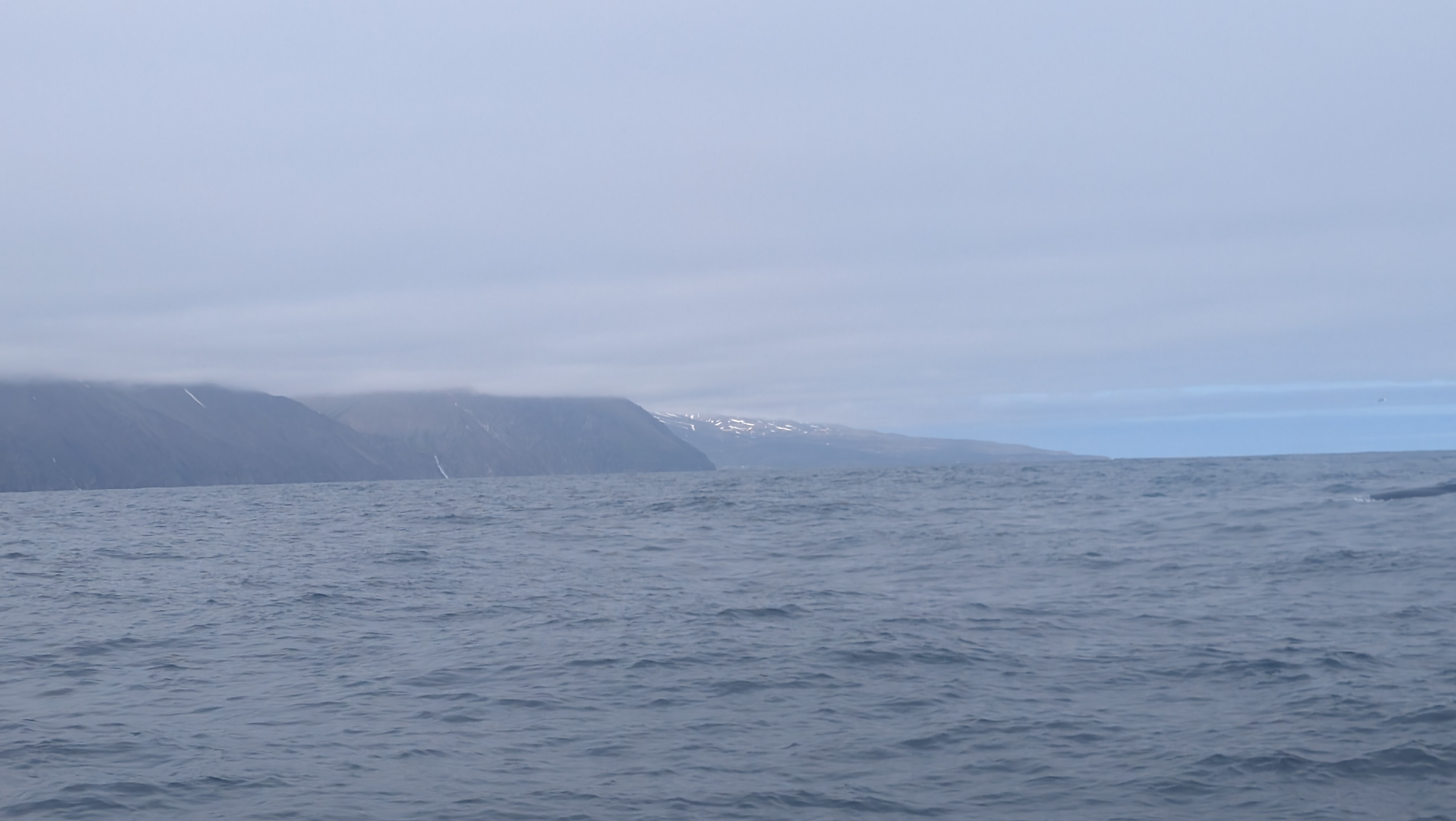 2026 06 21 11 16 37 Island